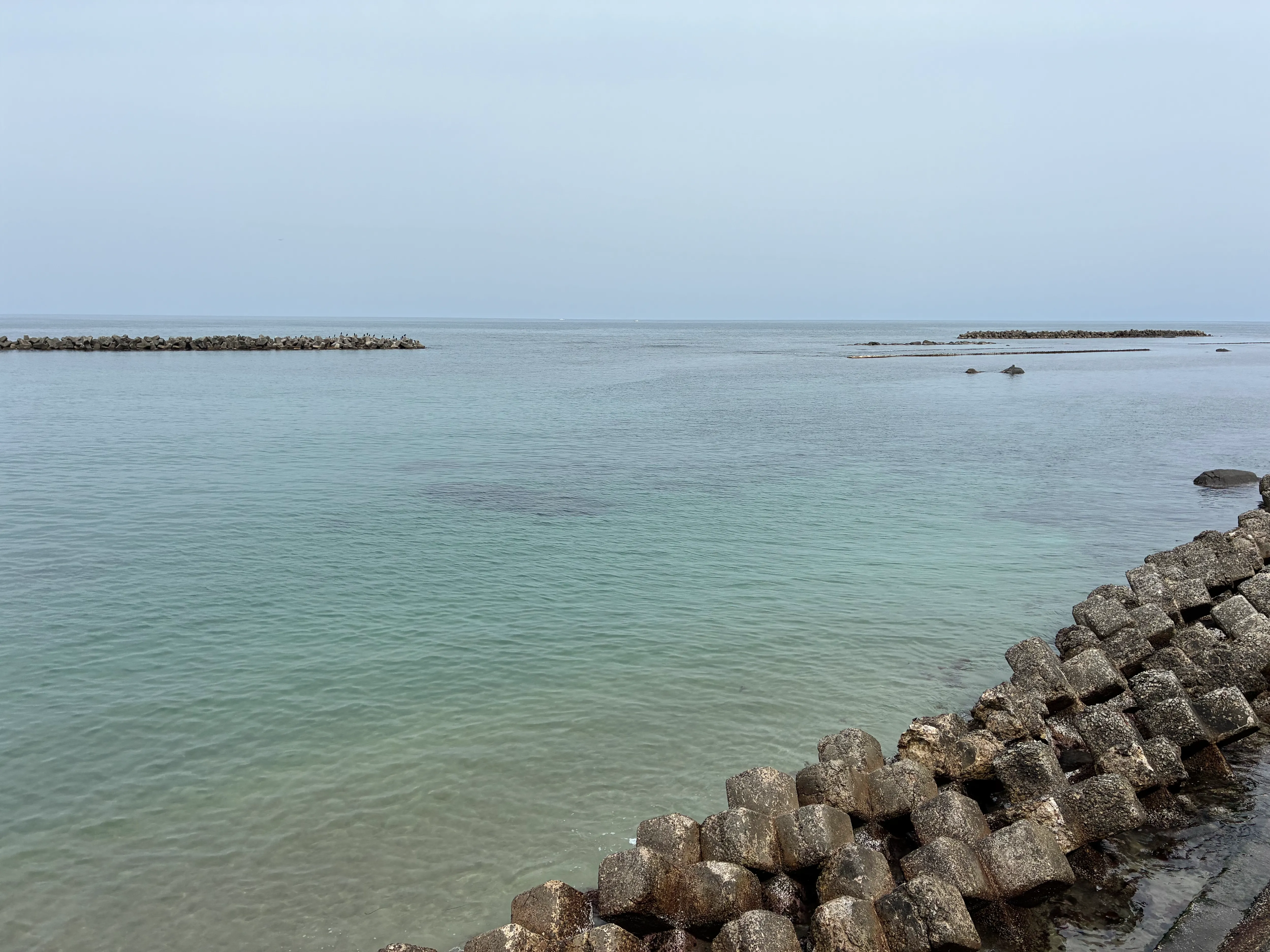 施設のすぐそばに広がる穏やかな日本海