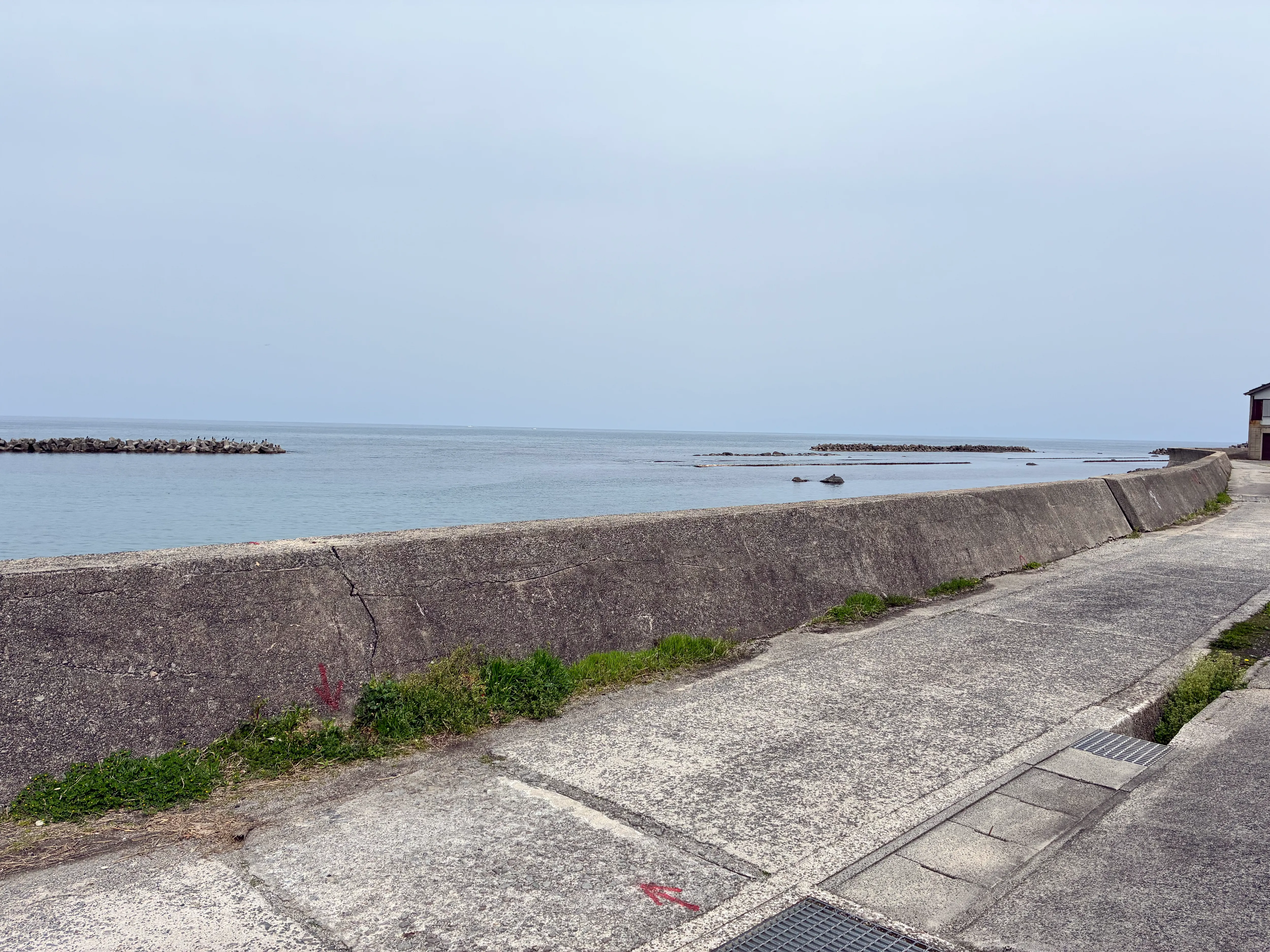 施設近くの海沿いの散歩道